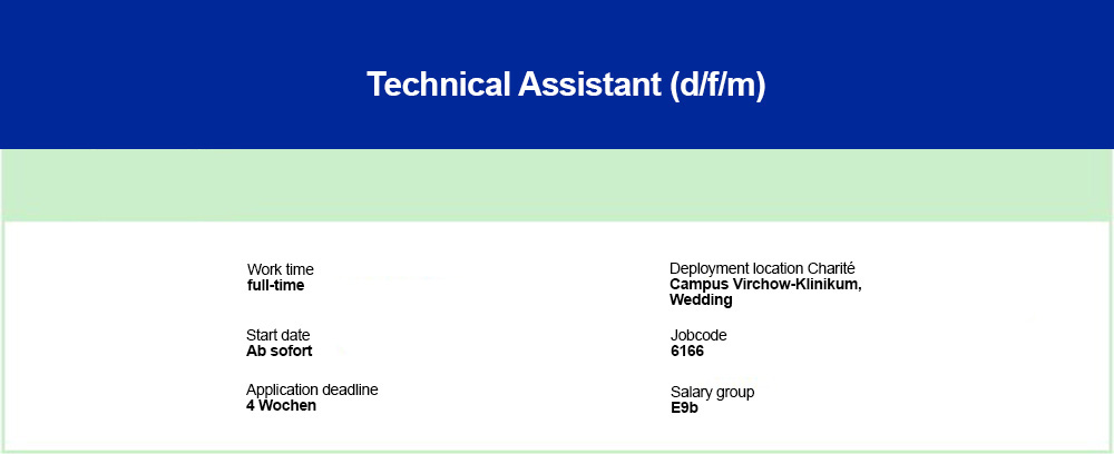 Header-Bild Stellenanzeige - Technical Assistant (d/f/m)